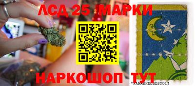 меф Гатчина