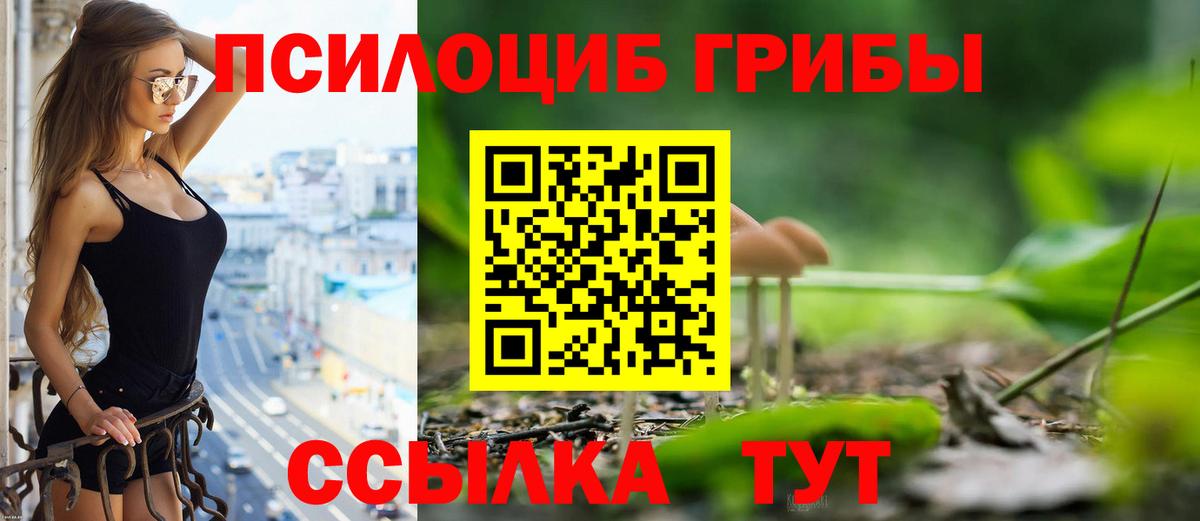 Псилоцибиновые грибы прущие грибы Выборг